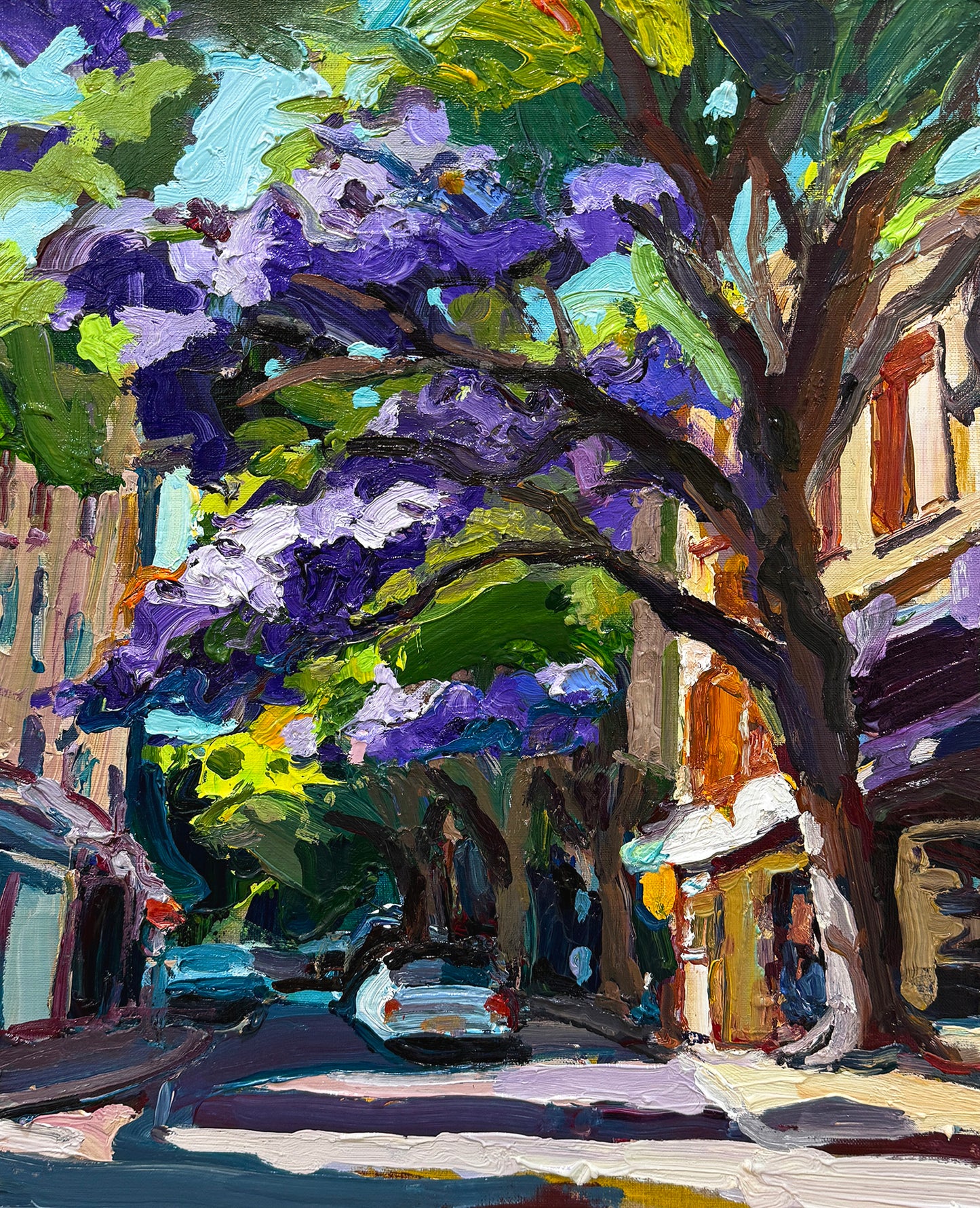 Sydney Jacarandas